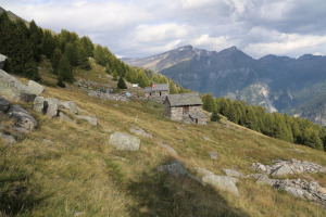 Alpe di Prou