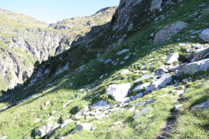 Sentiero che sale all'Alpe Pièi