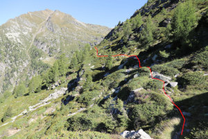 Sentiero che sale all'Alpe Pièi (con tracciato)