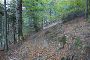 Sentiero che sale a Cardada