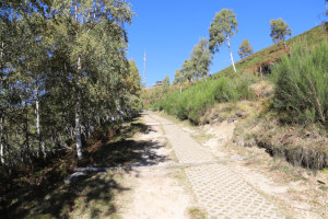 Sentiero che sale a Cimetta