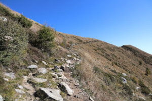 Sentiero che sale alla Cima della Trosa