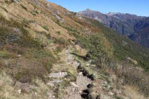Sentiero che scende all'Alpe di Bietri