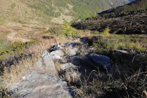 Sentiero che scende all'Alpe di Bietri