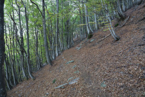 Sentiero verso la Bassa di Bietri