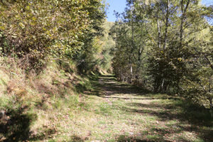 Strada che sale all'Alpe Cardada