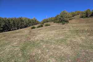 Traccia che sale a Cimetta