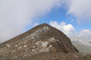 Foto di copertina