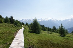 Passerelle in zona Cognéi