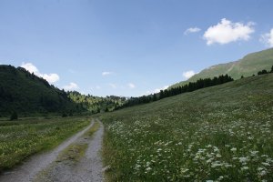 Strada verso Croce Portera