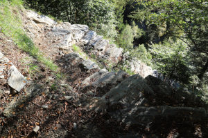 Sentiero verso l'Alpe Croveggio