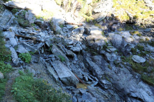 Sentiero verso l'Alpe Croveggio