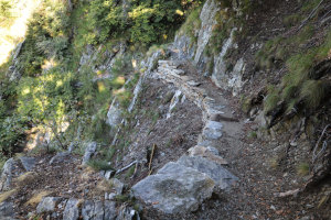 Sentiero verso l'Alpe Croveggio