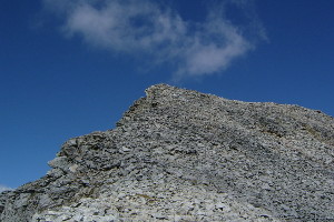 Foto di copertina