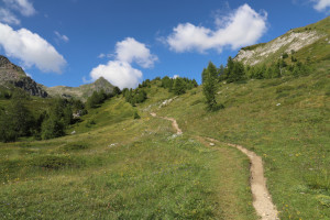 Sentiero in zona Rondadöira