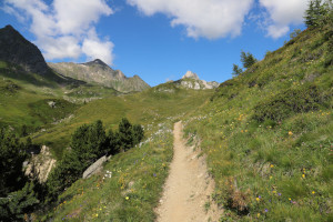 Sentiero verso il Passo del Sole