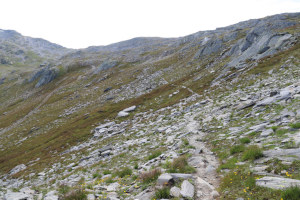 Sentiero che sale al Passo Posmeda