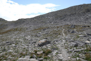 Sentiero che sale al Passo Posmeda