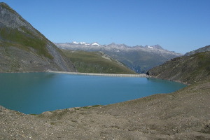 Griessee