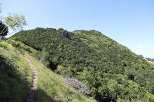 Cima di Fojorina