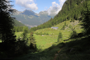 Alp de Calvaresc Sott