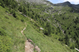 Sentiero verso la Capanna Buffalora