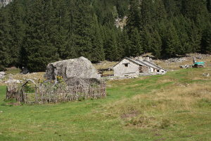 Alp del Lago