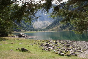 Foto di copertina