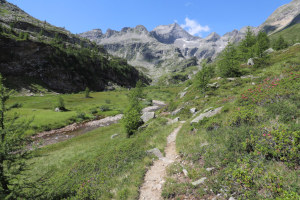 Sentiero che sale alla Capanna Piano delle Creste