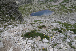 Via di discesa dalla Bocchetta della Crosa