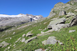 Sentiero che sale al Lago dei Mat&ouml;rgn