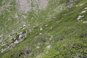Percorso seguito verso l'Alpe di Porchi&eacute;r