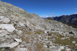 Sentiero verso il Motto di Vinei