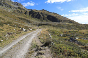 Strada verso l'Alpe di Fieud