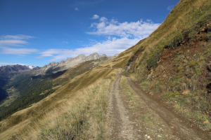 Strada verso l'Alpe di Vinei