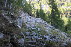 Sentiero che sale in Val Tomé