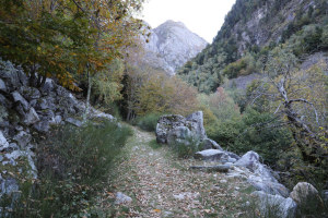 Sentiero che sale in Val Tomé