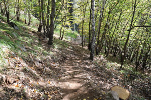 Sentiero che scende in Val Tomé