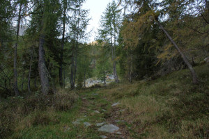 Alpe d'Arnau