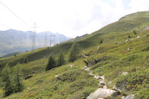 Sentiero verso Manió di Sopra