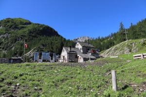 Alpe di Sfii