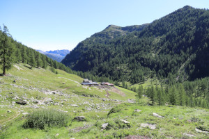 Alpe di Sfii