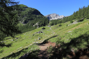 Alpe di Sfii