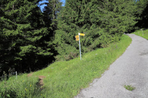 Sentiero che scende al ponte sulla Rovana di Campo