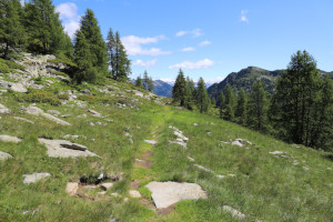 Sentiero verso il Lago dei Pozzöi