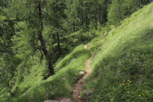 Sentiero che sale al Lago di Ravina