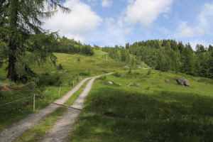 Strada che sale all'Alpe di Ravina