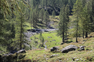 Ponte sul Ri di Sfii