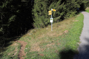 Sentiero che scende al ponte sulla Rovana di Campo