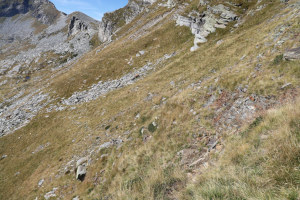 Via che porta alla Bocchetta di Rognoi